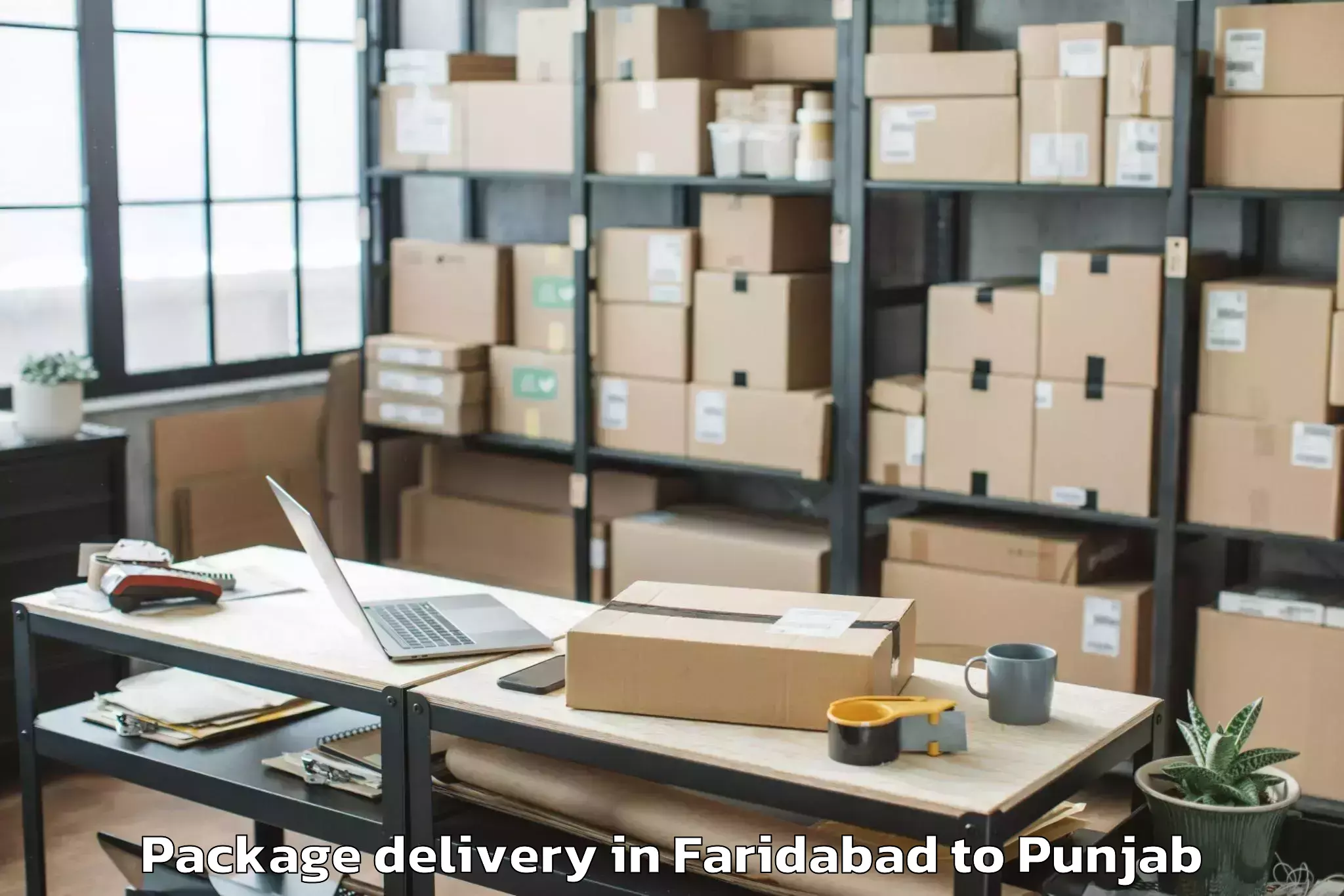 Comprehensive Faridabad to Dasua Package Delivery